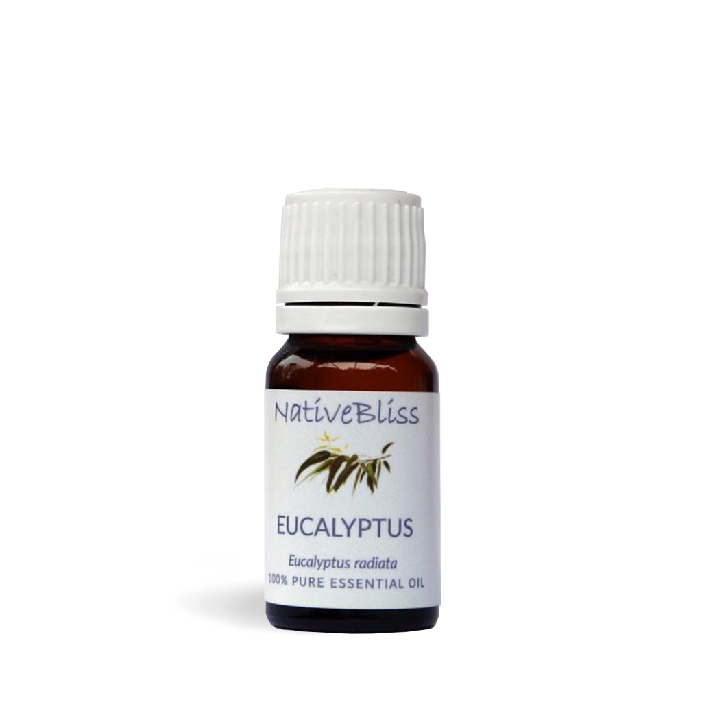 Essential Oil Ecualyptus 10ml