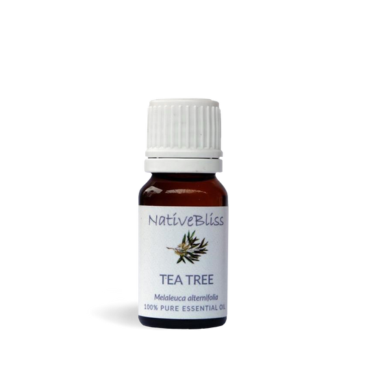 Essential Oil Tea Tree 10ml