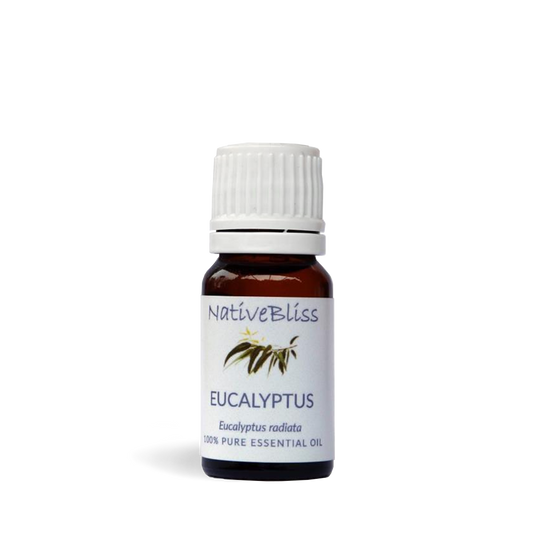 Essential Oil Ecualyptus 10ml